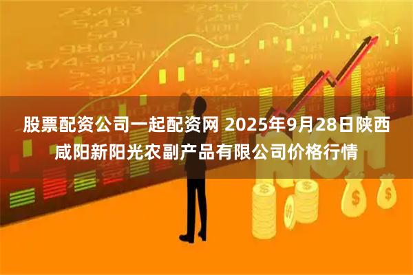 股票配资公司一起配资网 2025年9月28日陕西咸阳新阳光农副产品有限公司价格行情